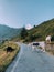 Cows pasture in mountainous area in the Italian Alps.