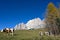 Cows in pastures in altitude in the fall