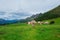 Cows on the pastures of the Italian alps