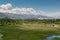 Cows pond in front of Shey Palace in Leh Ladakh.