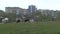 Cows quietly graze in the meadow against the backdrop of huge stone buildings.