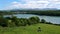 Cows resting in Anglesey island at Menai Strait