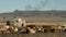 Cows, sheep and goats in front of a Yurt (Ger) from a Mongolian Nomads family in the morning with smoke out the stove