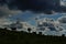 Cows silhouette at a cloudy day