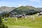 Cows in sky resort in summer On Grandvalira El Tarter on July 2020