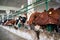 Cows in stalls at dairy farm