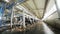 Cows stand in line at milking machines in cowshed