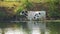 Cows stand in the water on a hot day