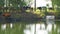 Cows stand in the water on a hot day