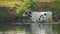 Cows stand in the water on a hot day