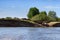 Cows on a steep river bank descend to a watering hole