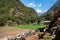 Cows under suspension bridge