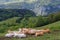 Cows on The Vercors Plateau