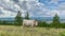 Cows walk in green mountains pastures Panoramic view