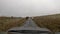 Cows walking single track road on the Isle of Raasay - Scotland