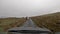 Cows walking single track road on the Isle of Raasay - Scotland