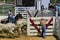 Cowtown Rodeo Wrangling the Bulls into Fence - 2018