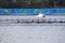 Coxed eight competition at Rio2016 Olympics
