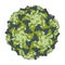 Coxsackievirus A21. Coxsackieviruses can cause meningitis, hand, foot and mouth disease, etc. Atomic-level structure.