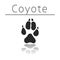 Coyote animal track