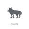 Coyote icon. Trendy Coyote logo concept on white background from