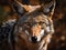 Coyote portrait created with Generative AI technology