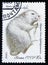 Coypu or nutria - Myocastor coypus, series valuable species of fur-bearing animals, circa 1980