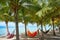 Cozumel island beach palm tree hammocks