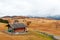 Cozy autumn colors details on the Alpe di Siusi Seiser Alm mountain plateau, pine trees in autumn colors in the background of