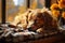 Cozy autumn scene a dreamy dog naps by the warm windowsill