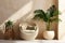 Cozy barrel chair between green houseplants near beige stucco wall. Home interior design of modern living room