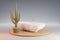 cozy bathbutb with cactus on wooden podest on infinite background 3D Illustration