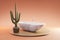 cozy bathbutb with cactus on wooden podest on infinite background 3D Illustration