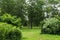 Cozy bench in depths of green summer park