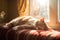 Cozy Cat Nap: Contented Feline Relaxing on Soft Pillow in Sunlit Home