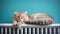 Cozy Cat Napping Above Radiator in Winter Day AI Generated