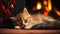 Cozy Catnap: A Dreamy Scene of a Kitten Sleeping by the Fire on