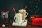 Cozy Christmas composition.Two mug with hot drinks, chocolate with whipped cream and cappuccino with cinnamon stick on a