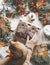 Cozy Christmas home scene. Woman hands with ginger cat and gift box with teddy-bear socks on white blanket with winter holiday