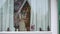 Cozy Decoration on the Windowsill and Architectural detail of wooden houses in Dutch Village on the island of Marken in