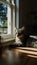 Cozy domestic scene with a cat lounging in a sunlit room