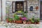 Cozy flowerpot garden in Aggius, Italy