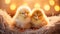 Cozy Fluffiness: Adorable Baby Chicks in a Soft Nest