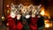 Cozy Holiday Trio: Three Adorable Kittens Embrace Christmas Stocking Bliss