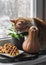 Cozy home still life - red kitten, indoor flowers, pumpkin waffles, pumpkin on the windowsill