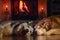 Cozy home. Two beautiful big dogs bask by  burning fireplace in warm room, winter evening.