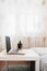 Cozy home workplace, thin silver laptop with cactus, sofa with fluffy gray blanket, vertical content, selective focus