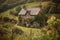 cozy house on a green hilly area among greenery and flowers, a quiet, calm, relaxing place generative ai