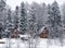 Cozy houses in a snowy forest among the trees. Rustic wooden houses. Russia