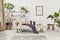 Cozy interior with stylish sofa, design coffee table, bookcase, plants, carpet, decoration, mock up poster map.